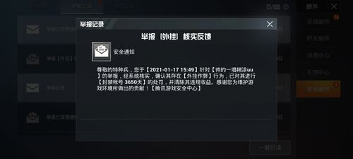和平精英辅助【神女】